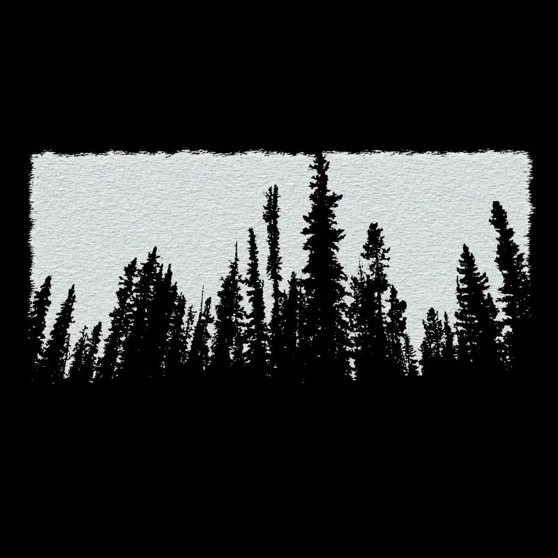 white trees forest nature