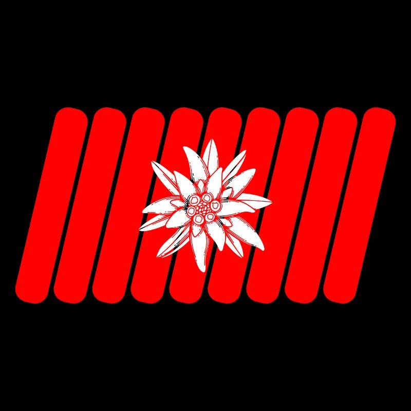 Schweizer Flagge