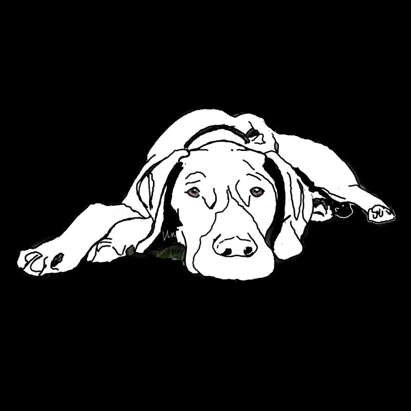 Pointer German Shorthair