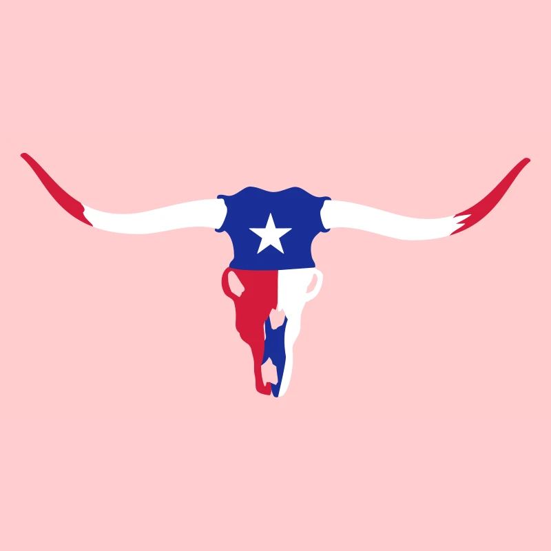 texas longhorn skull / Rinderschädel (3c)