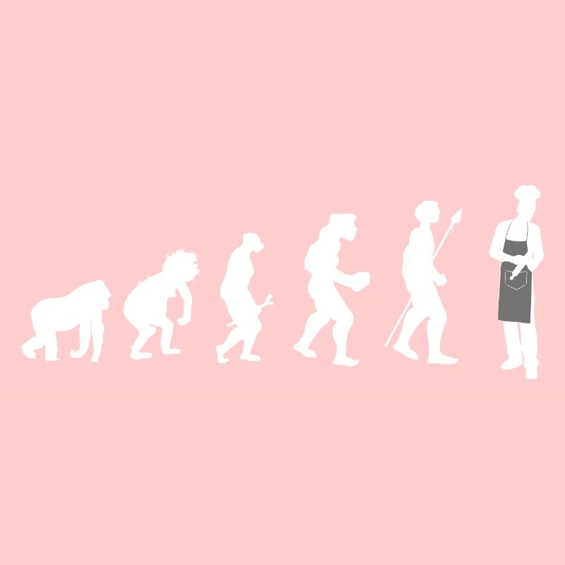 chef cook Evolution
