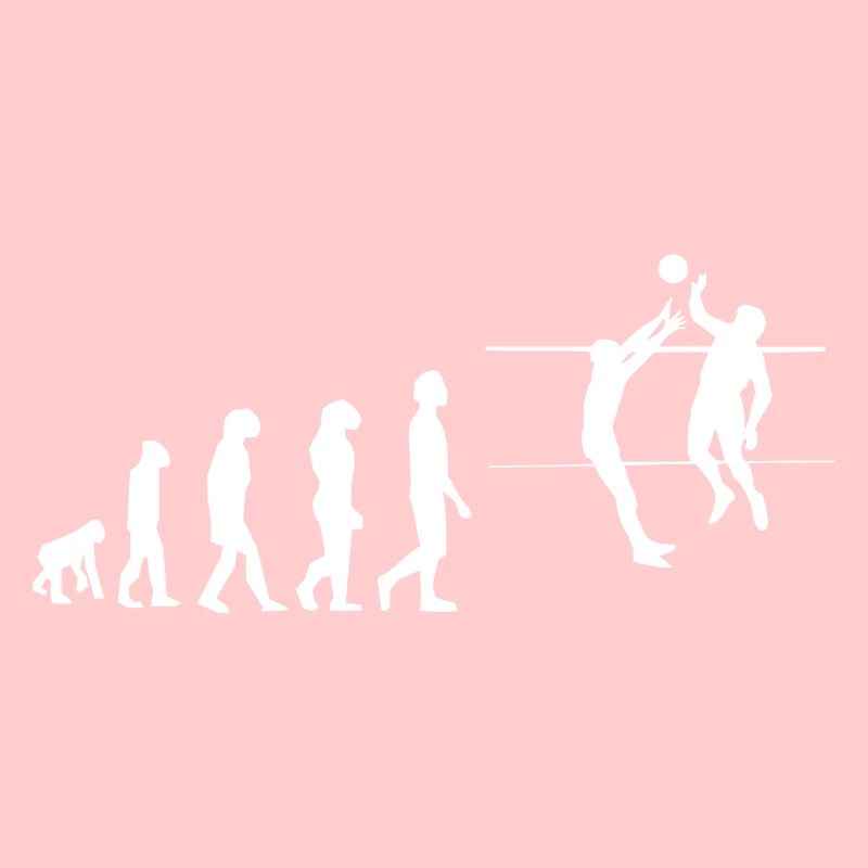 Volley évolution