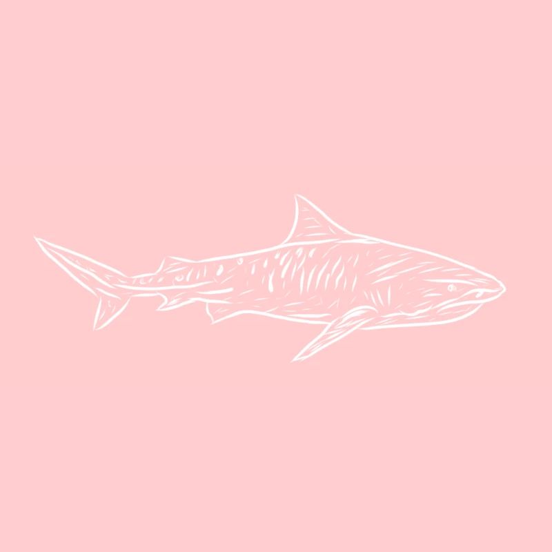 Requin