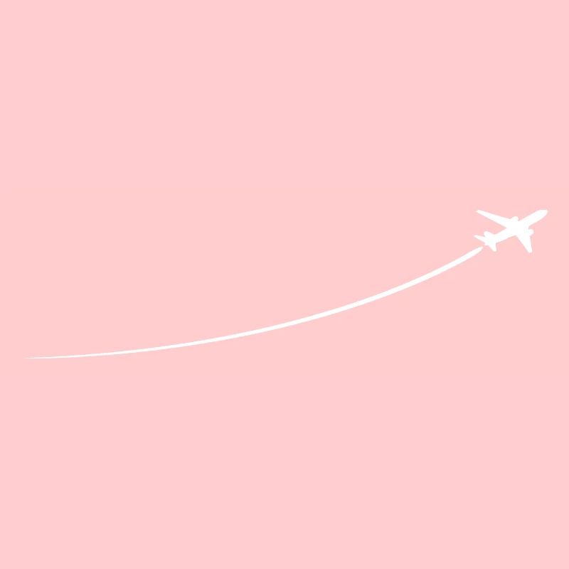 Avion minimaliste