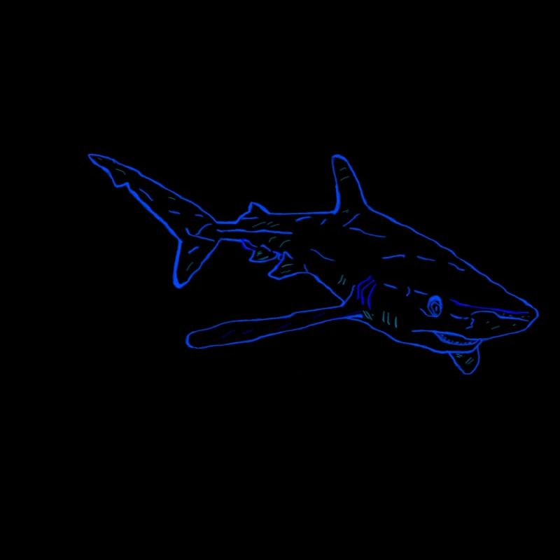 Requin