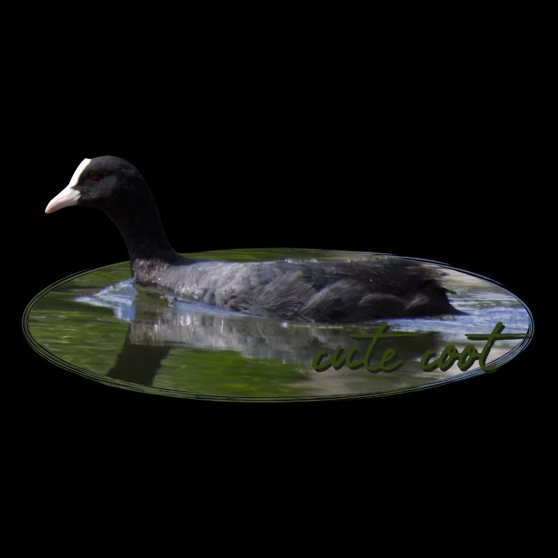 Blässhuhn Wasservogel Vogel