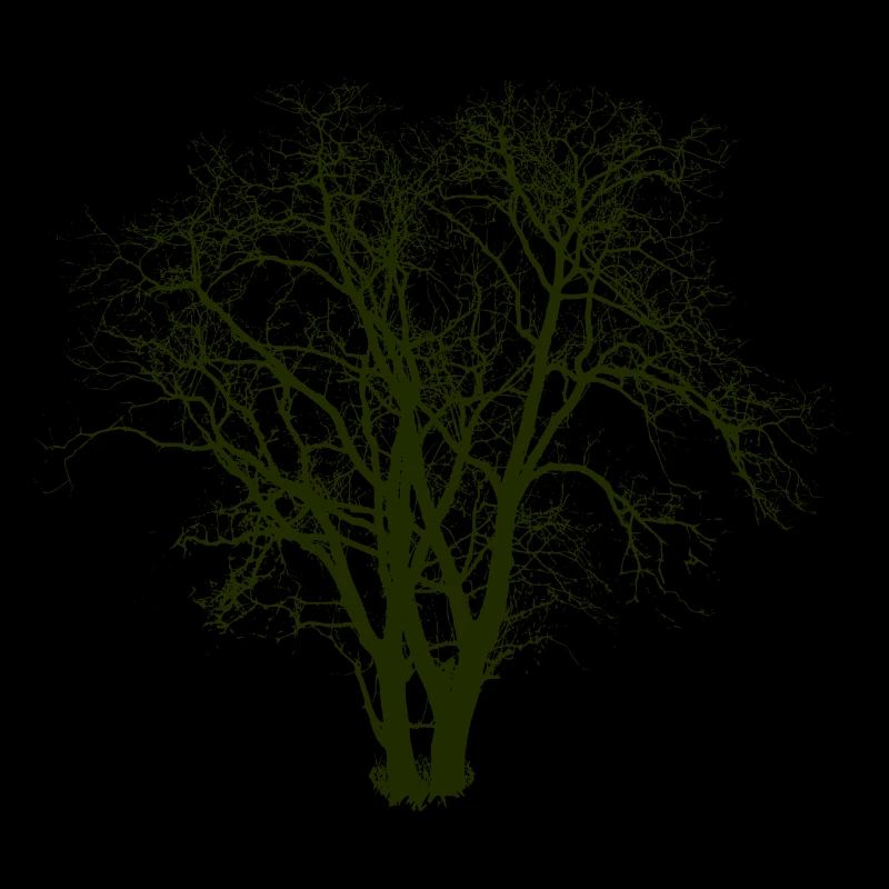 Arbre