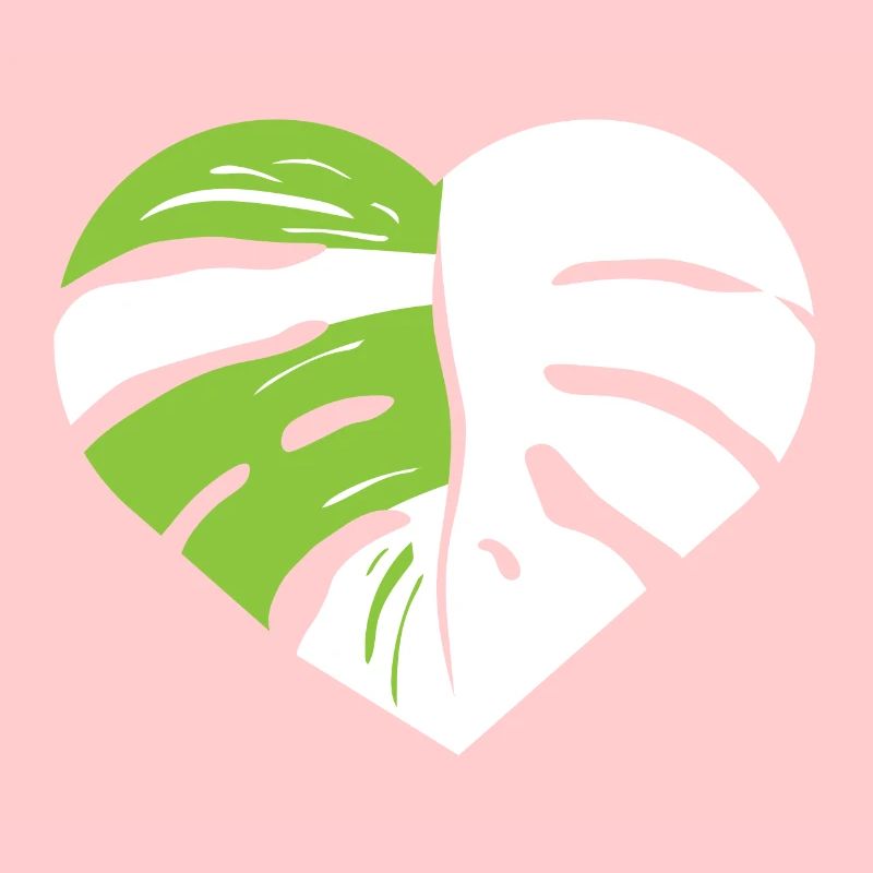 Monstera heart leaf