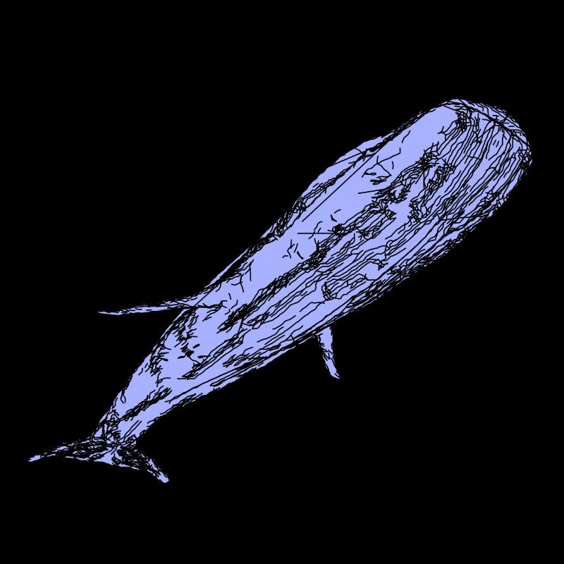 baleine