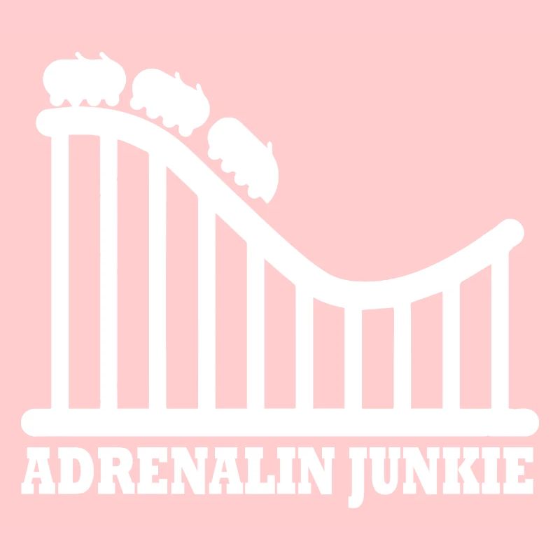 Rollercoaster Parc d’attractions