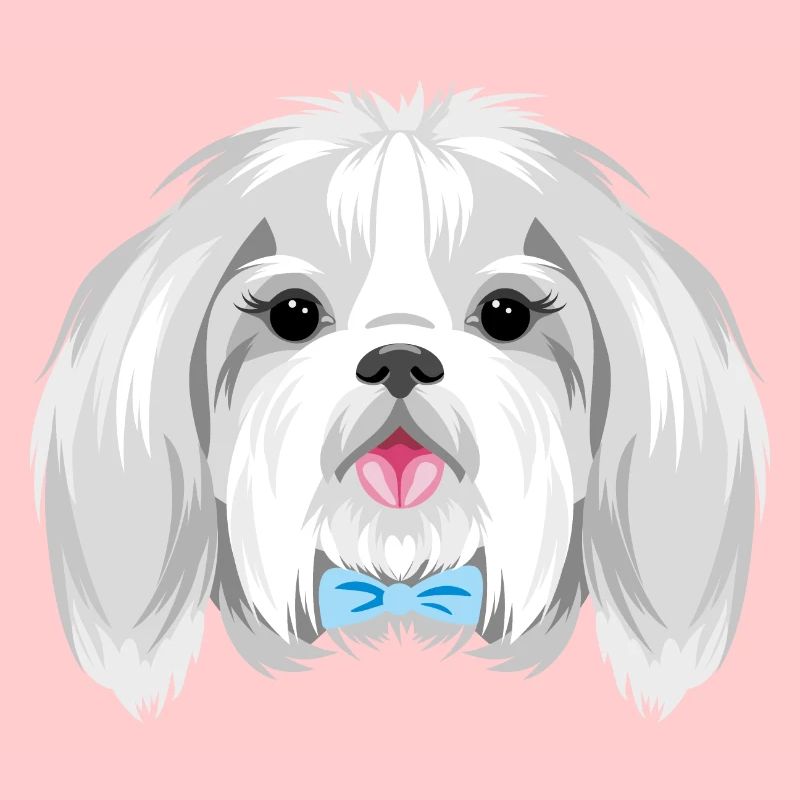 Porträt eines hübschen Shih Tzu mit blauer Schleife
