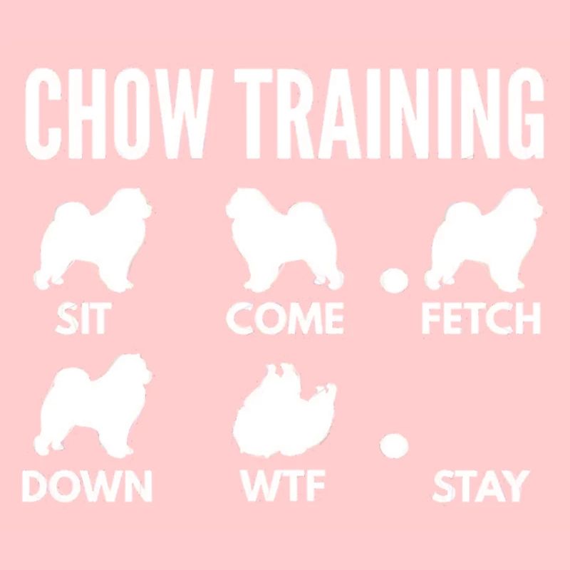 Chow Training Chow Chow Dog Tricks T Shirt
