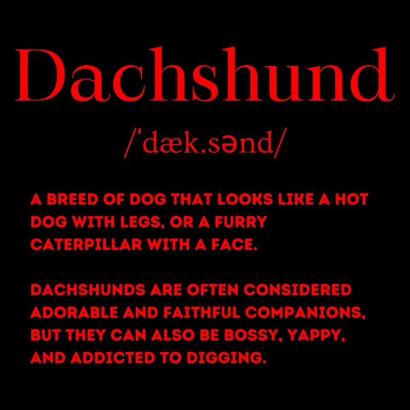 Dackel Definition