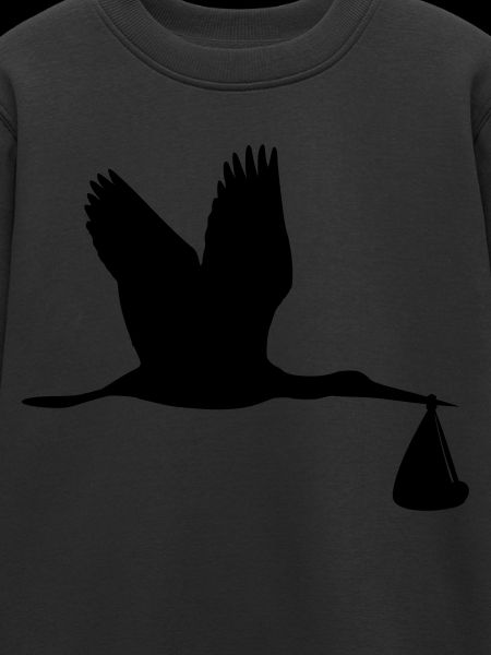 Cigogne