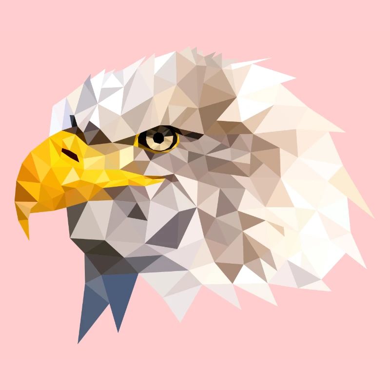 Aigle à tête blanche aigle de mer Aigle américain Eagle