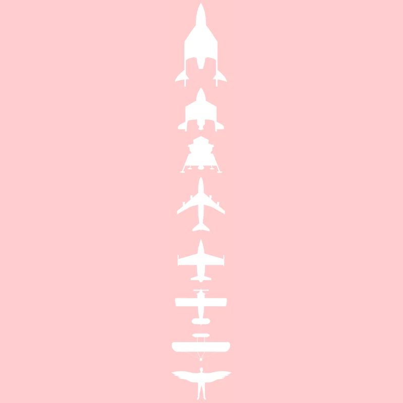 Evolution des Fliegens