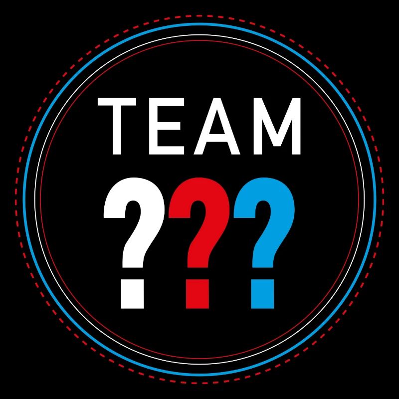 Die Drei ??? Team Drei Fragezeichen