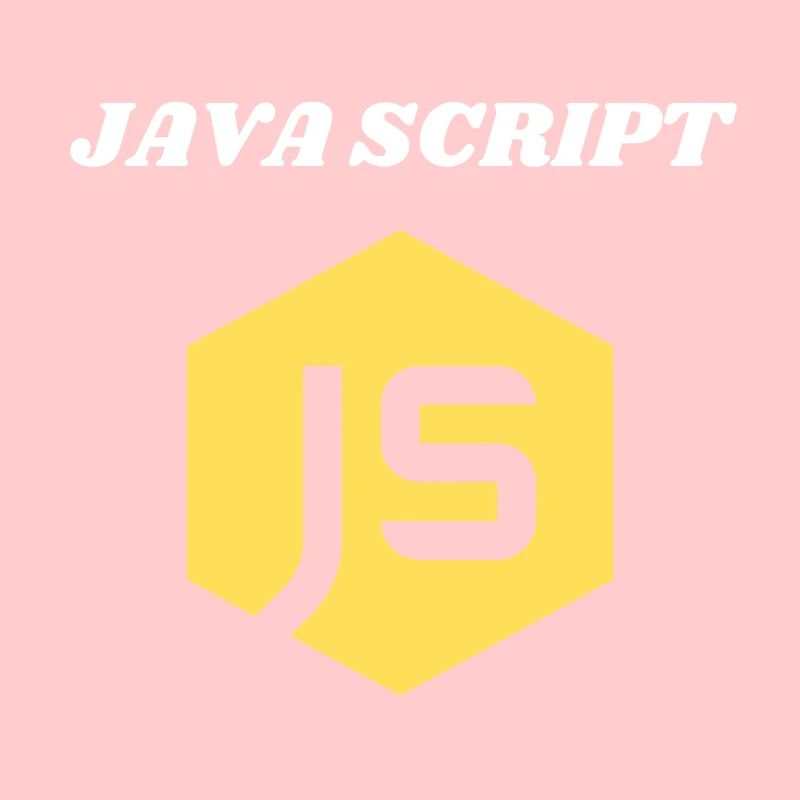 JavaScript Programmer