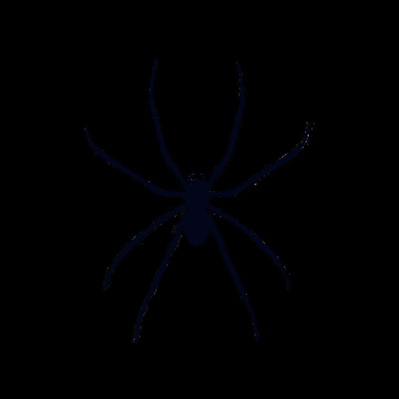 Spider Spider Boys Pull