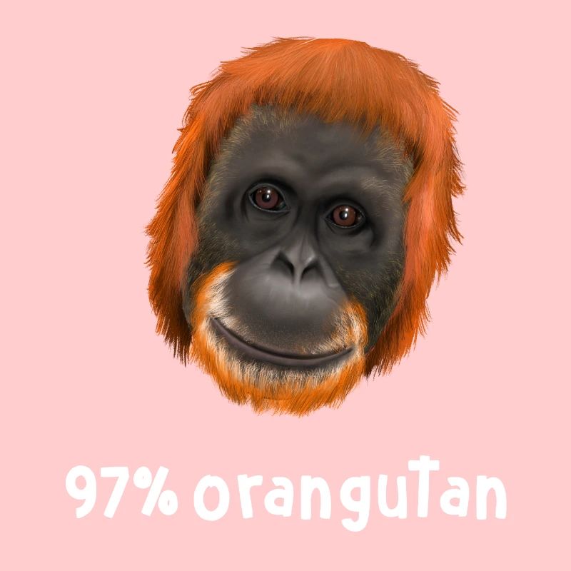 Monkey Ape Orangutan - 97 pour cent d'orang-outan