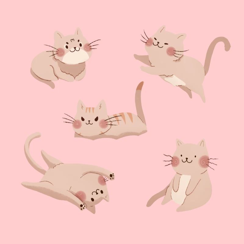 Équipage de chat blanc