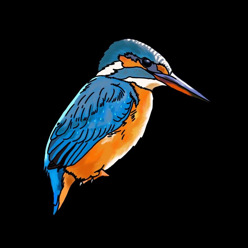Martin-pêcheur