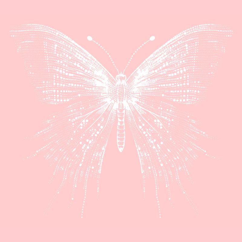 Butterfly in Ascii Code
