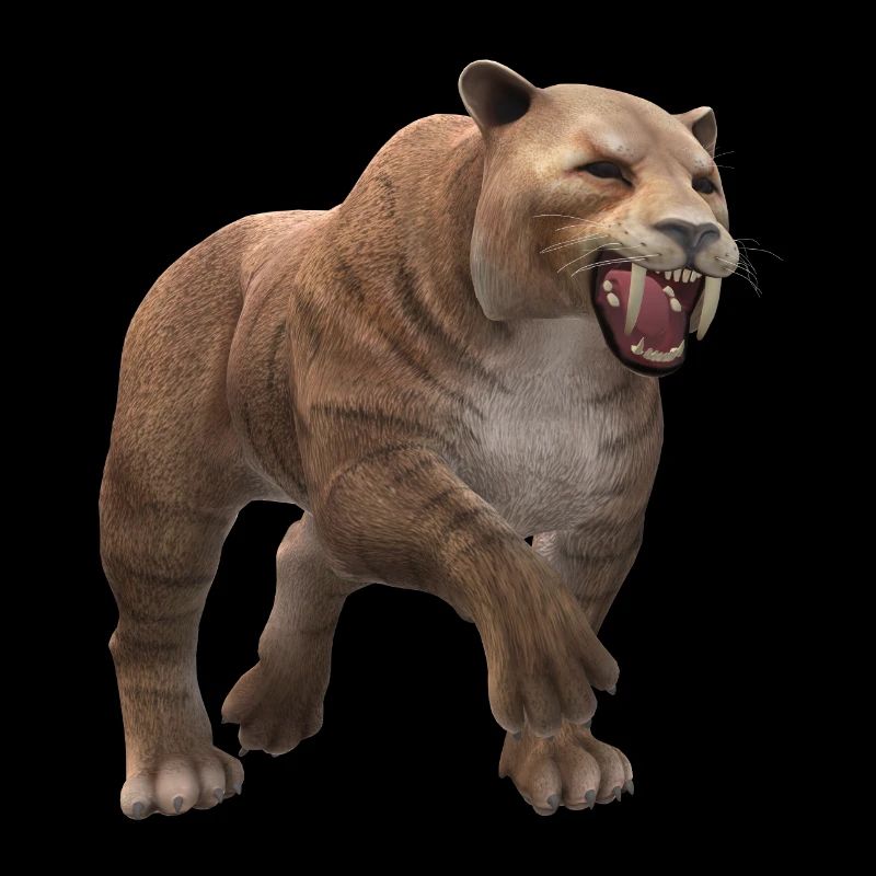 Säbelzahntiger Design