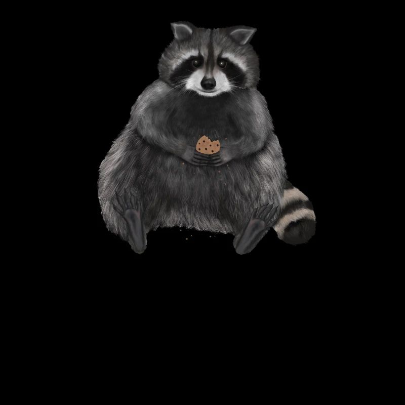 Waschbär - Don't worry I don't bite