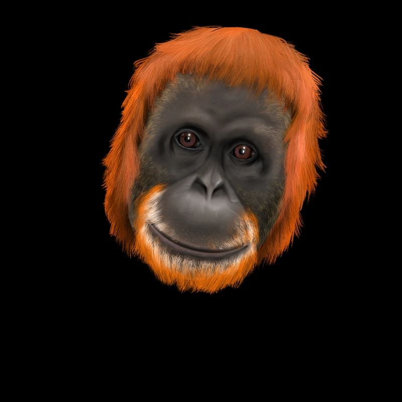 Monkey Ape Orang Utan - save them