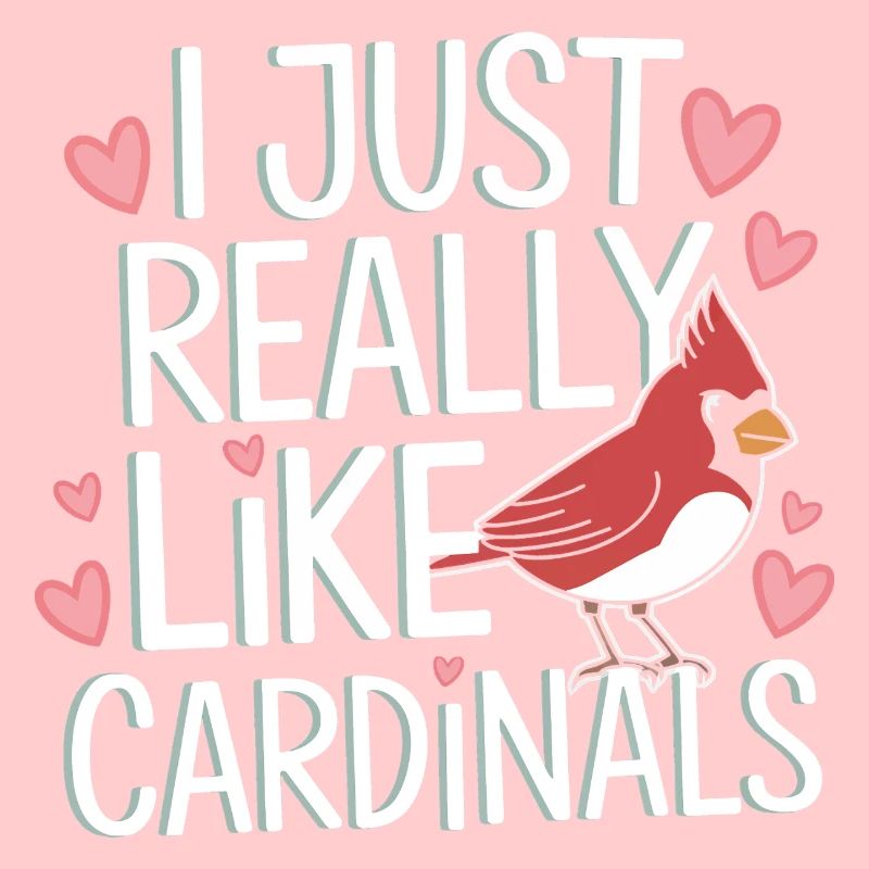 Kardinal Rotkardinal Vogel Roter Kardinal