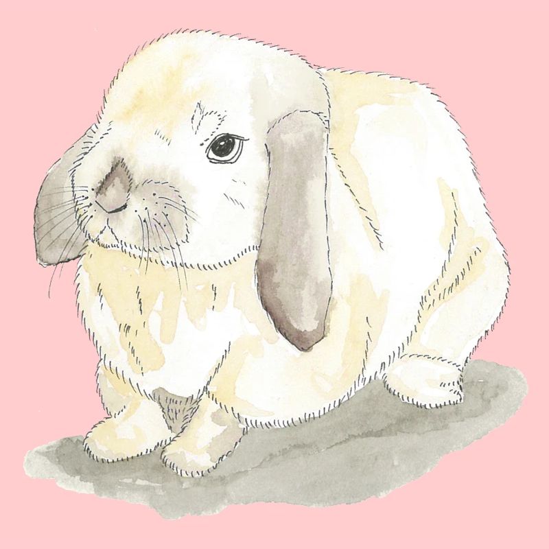 Lapins