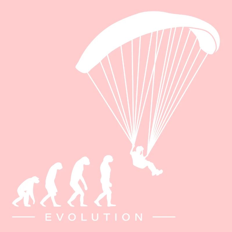 Paraglider Paragliding Evolution Motif