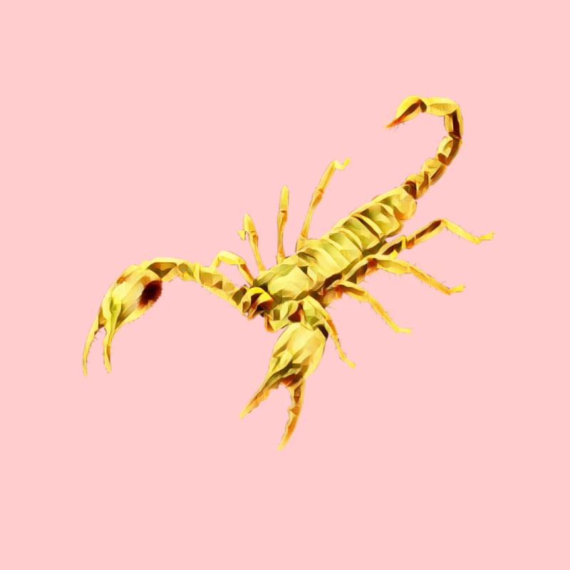 Skorpion