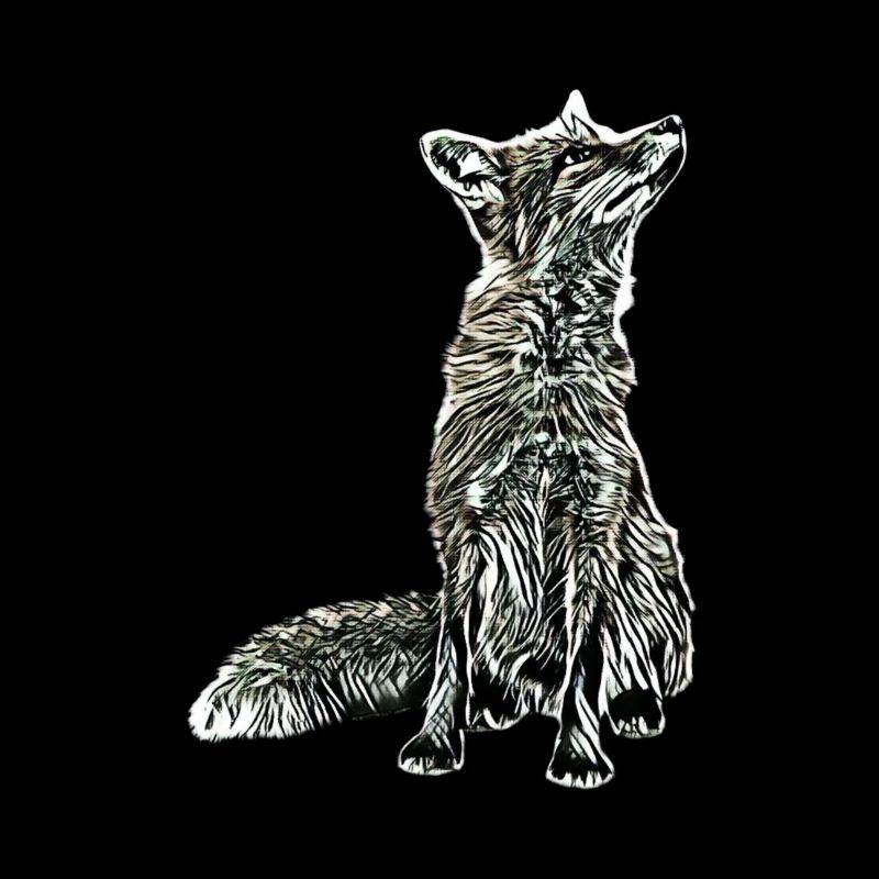 Fuchs