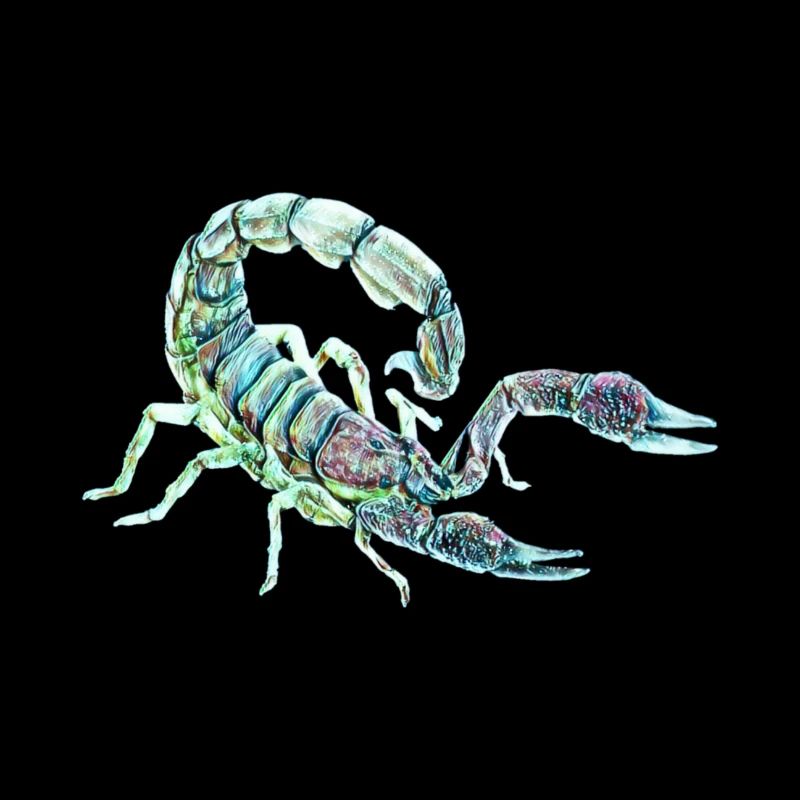 Skorpion