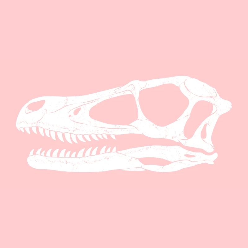 Fossile de Velociraptor
