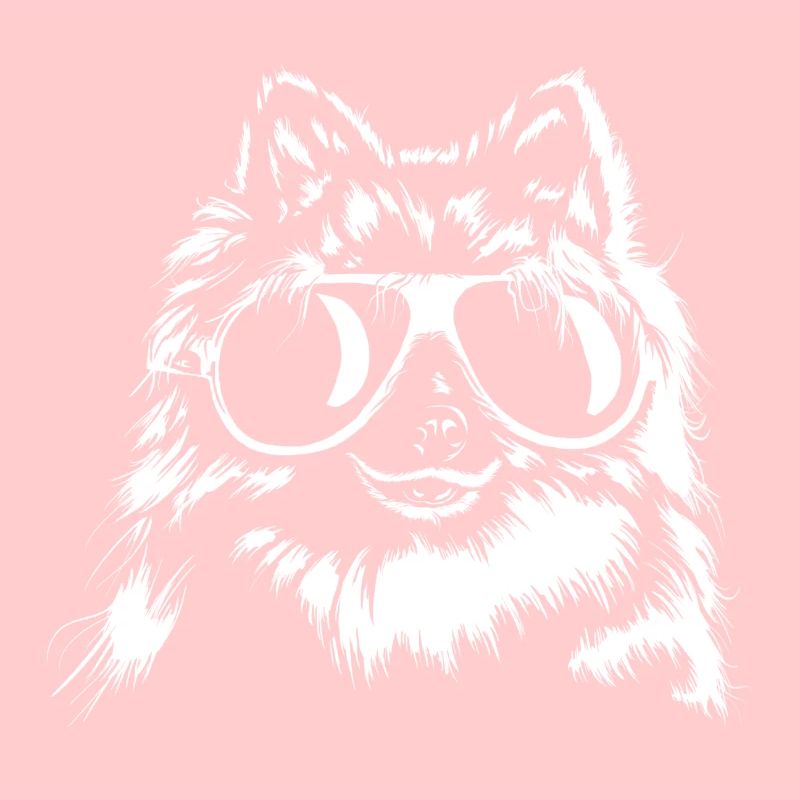 Spitz Hund mit Sonnenbrille
