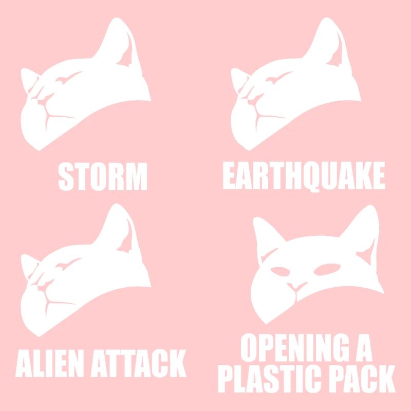 Chat - perception sélective - dire