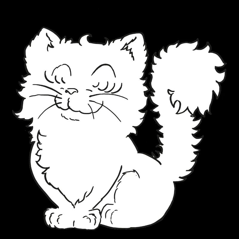Mignon petit chat