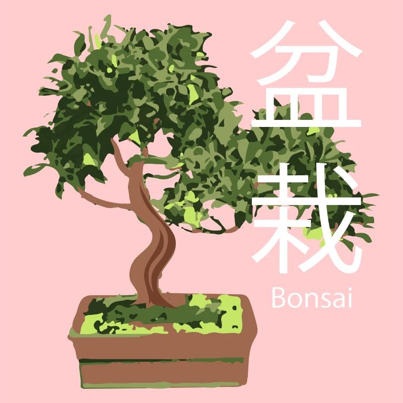 Bonsai Tree Plants