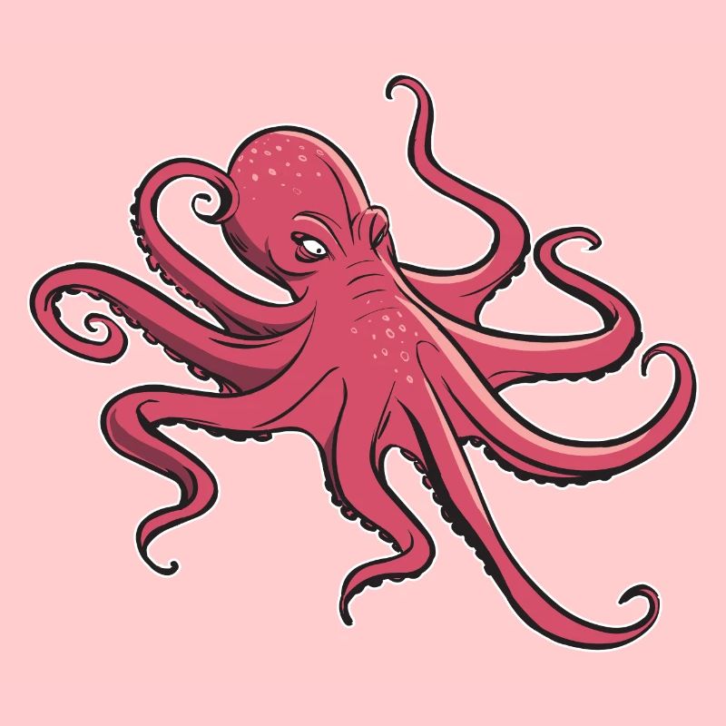 I like octopus - eight tentacles - squid