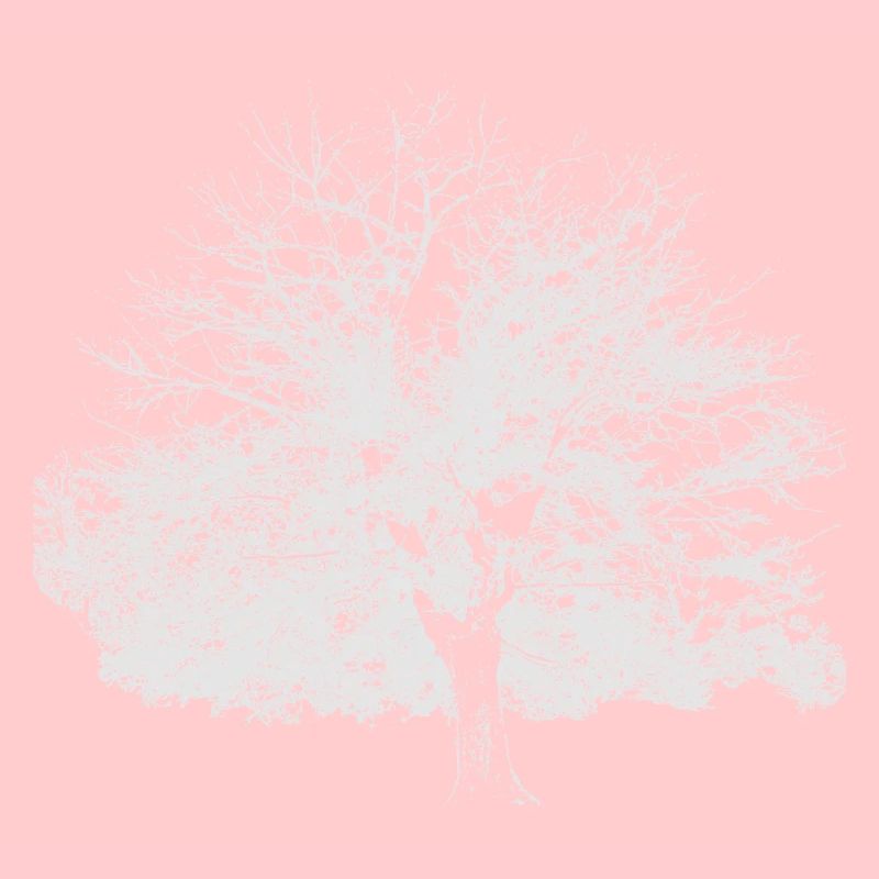 Arbre d’hiver blanc