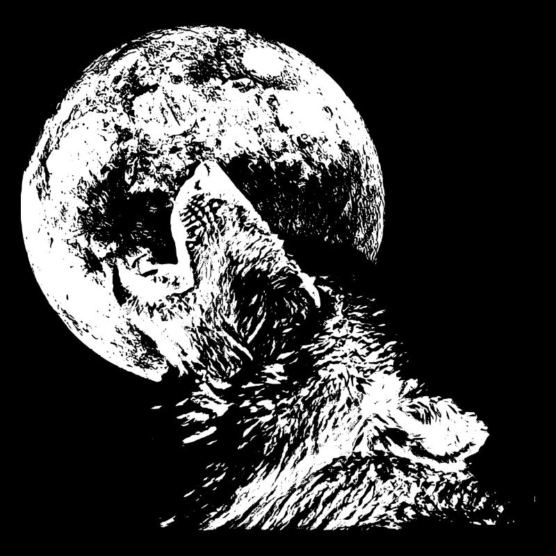 wolf