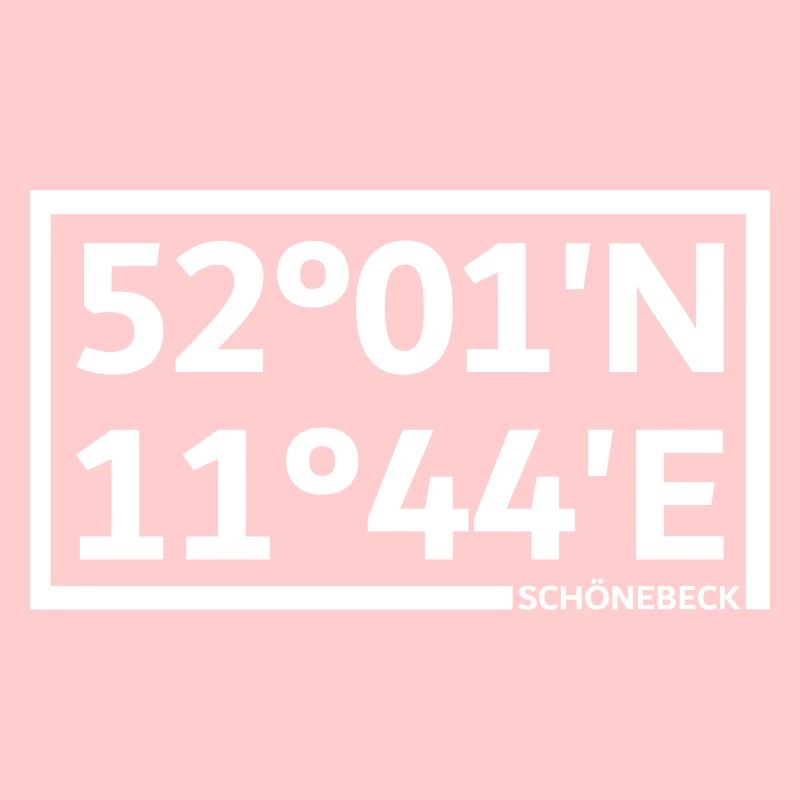 Schönebeck coordinates