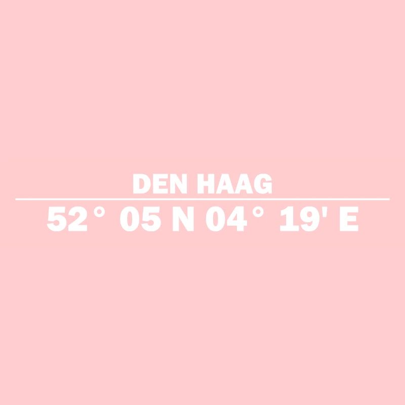 The Hague Coordinates