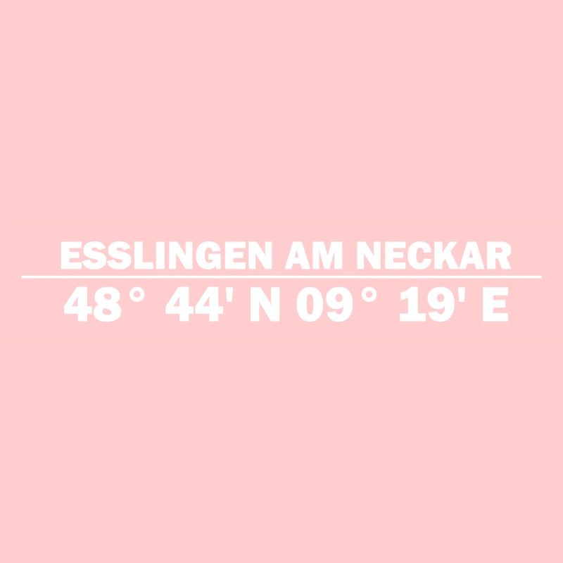 Coordonnées d’Esslingen am Neckar