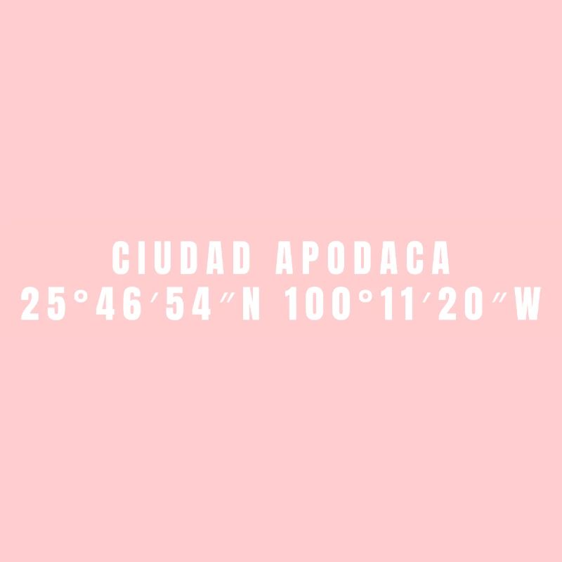 Ciudad Apodaca, Mexico Coordinates