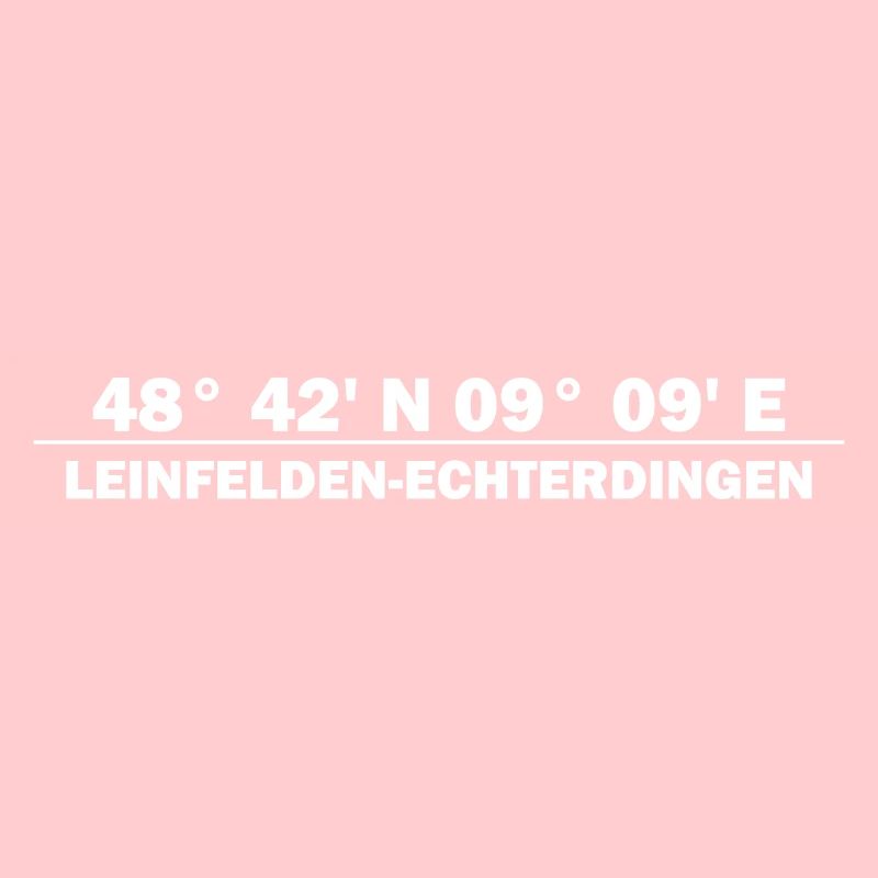Coordonnées de Leinfelden-Echterdingen
