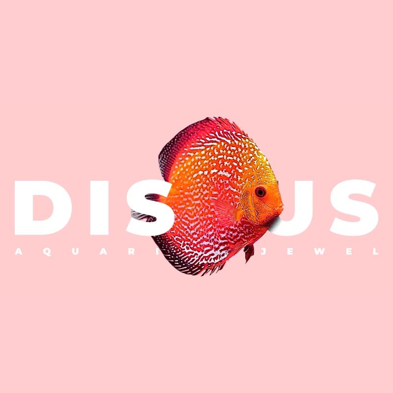 Diskusbuntbarsch Fischhalter